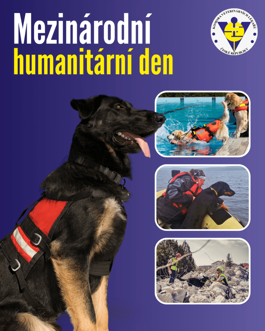 2026-08-19-Evropský den národních parků (12).png